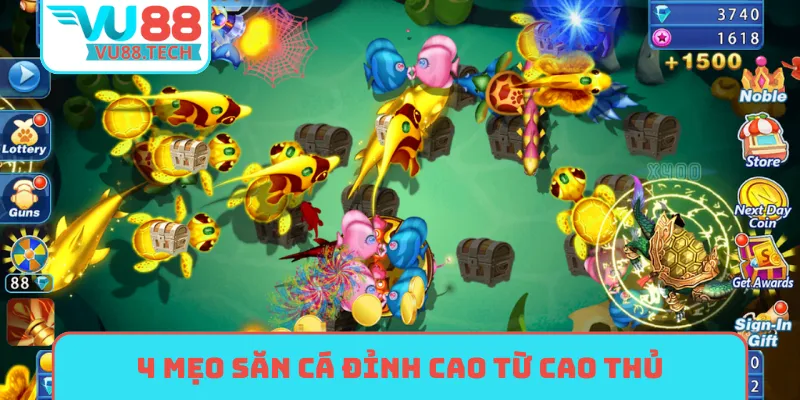 4 mẹo săn cá đỉnh cao từ cao thủ