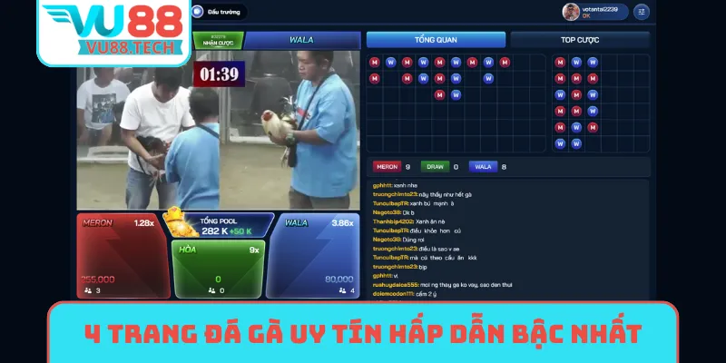 4 trang đá gà uy tín hấp dẫn bậc nhất