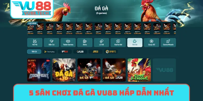 5 sân chơi đá gà VU88 hấp dẫn nhất