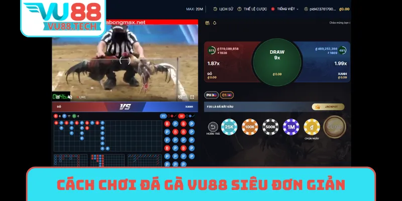 Cách chơi đá gà VU88 siêu đơn giản