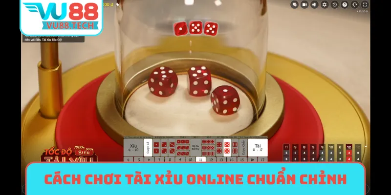 Cách chơi tài xỉu online chuẩn chỉnh cho newbie
