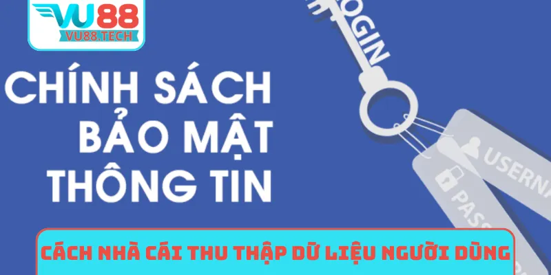 Cách nhà cái thu thập dữ liệu người dùng