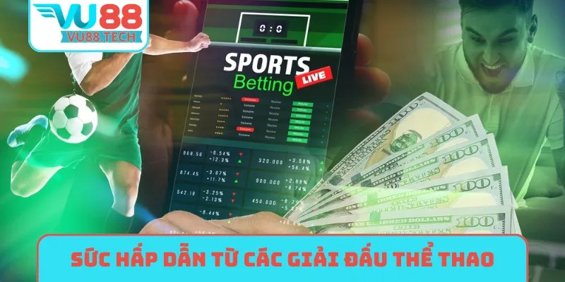 Sức hấp dẫn từ các giải đấu thể thao hôm nay