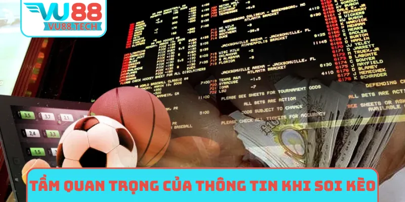 Tầm quan trọng của thông tin khi soi kèo