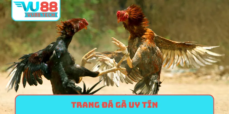 trang đá gà uy tín