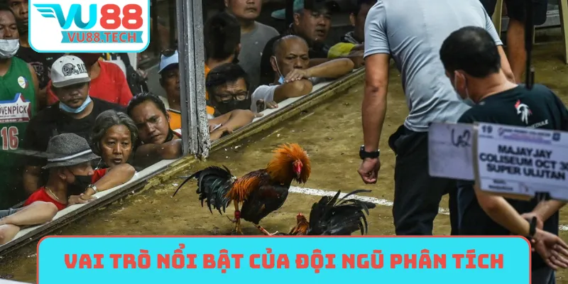 Vai trò nổi bật của đội ngũ phân tích đá gà